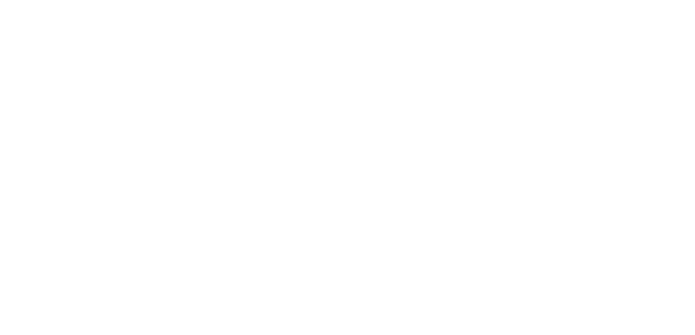 LISHI DESIGN