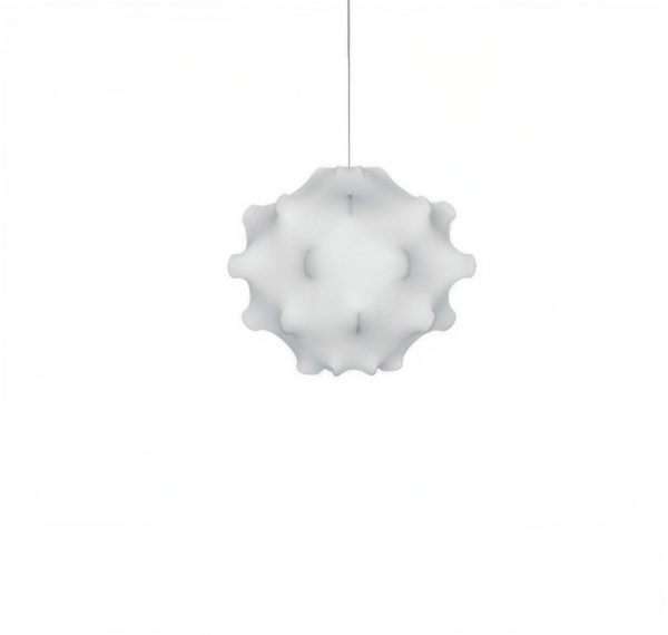 Lishi Taraxacum pendant light