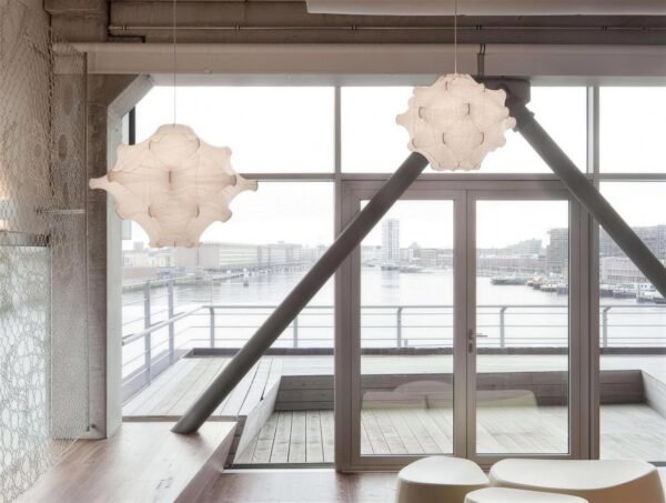 Lishi Taraxacum pendant light