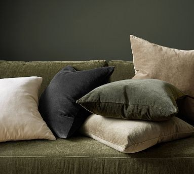 Pottery Barn Everywhere Velvet Cushion