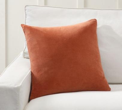 Pottery Barn Everywhere Velvet Cushion
