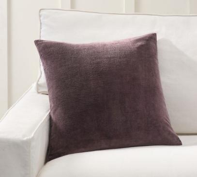Pottery Barn Everywhere Velvet Cushion