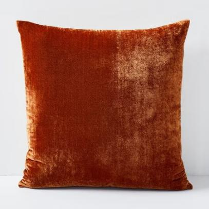 West Elm Lush Velvet Cushion