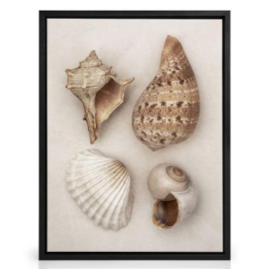 Desenio Soft Shells photographic wall art