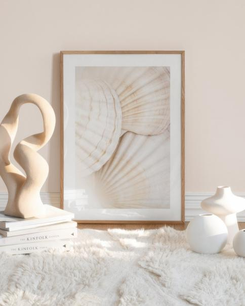 Desenio Close Up Shells