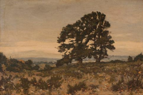 Juniper Print Shop Juniper Tree vintage wall art
