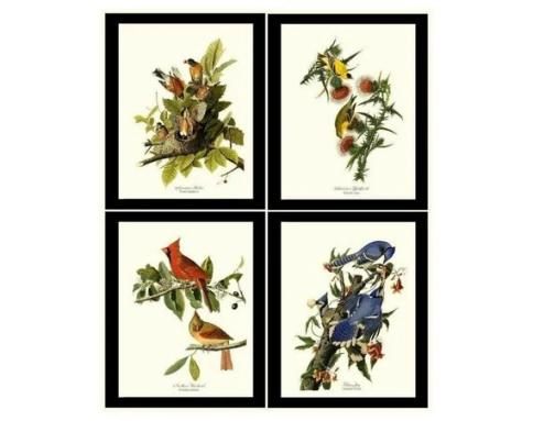 Audubon vintage wall art