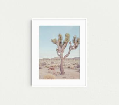 Eye Poetry Photographic Wall Art