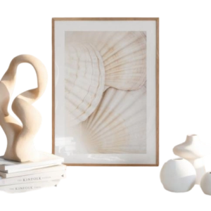 Desenio Close Up Shells