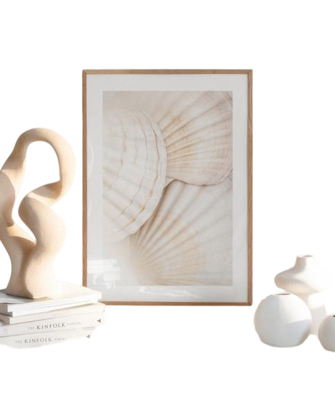 Desenio Close Up Shells
